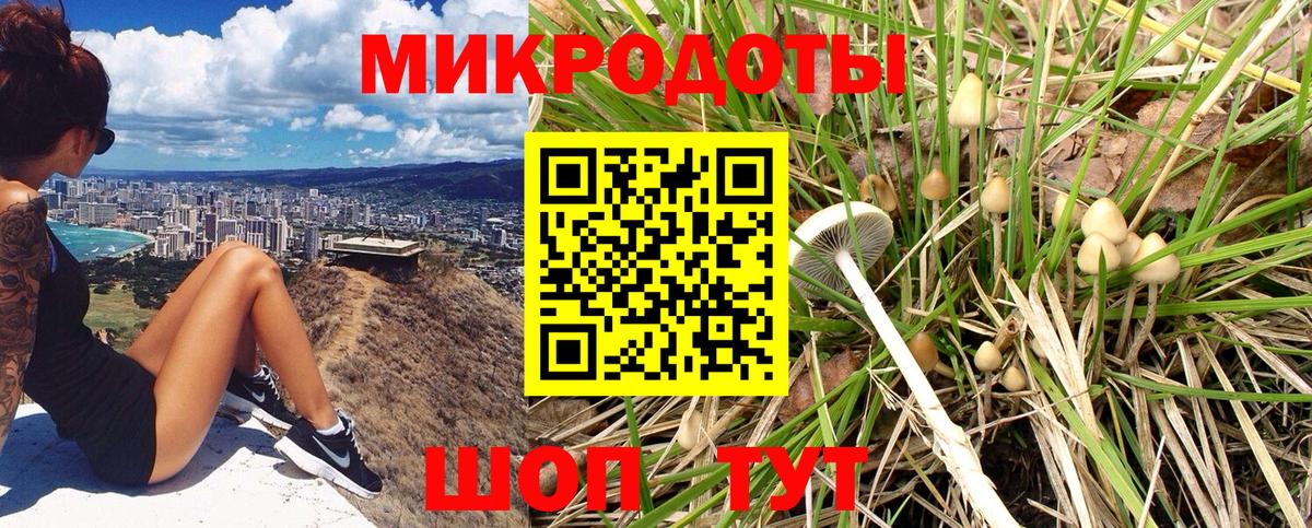 Новозыбков  Псилоцибиновые грибы ЛСД  Вход с VPN 